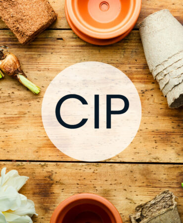 Certificate in Panchakarma (CIP)