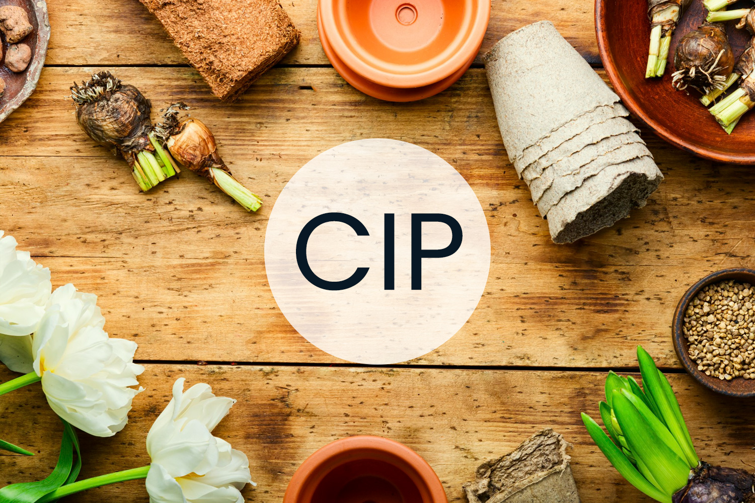 CIP
