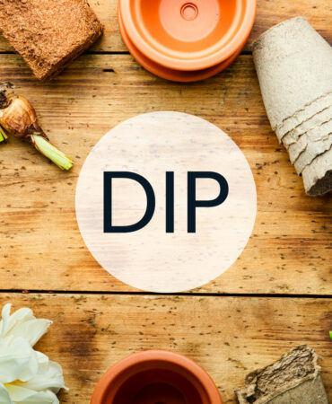 Diploma in Panchakarma (DIP)