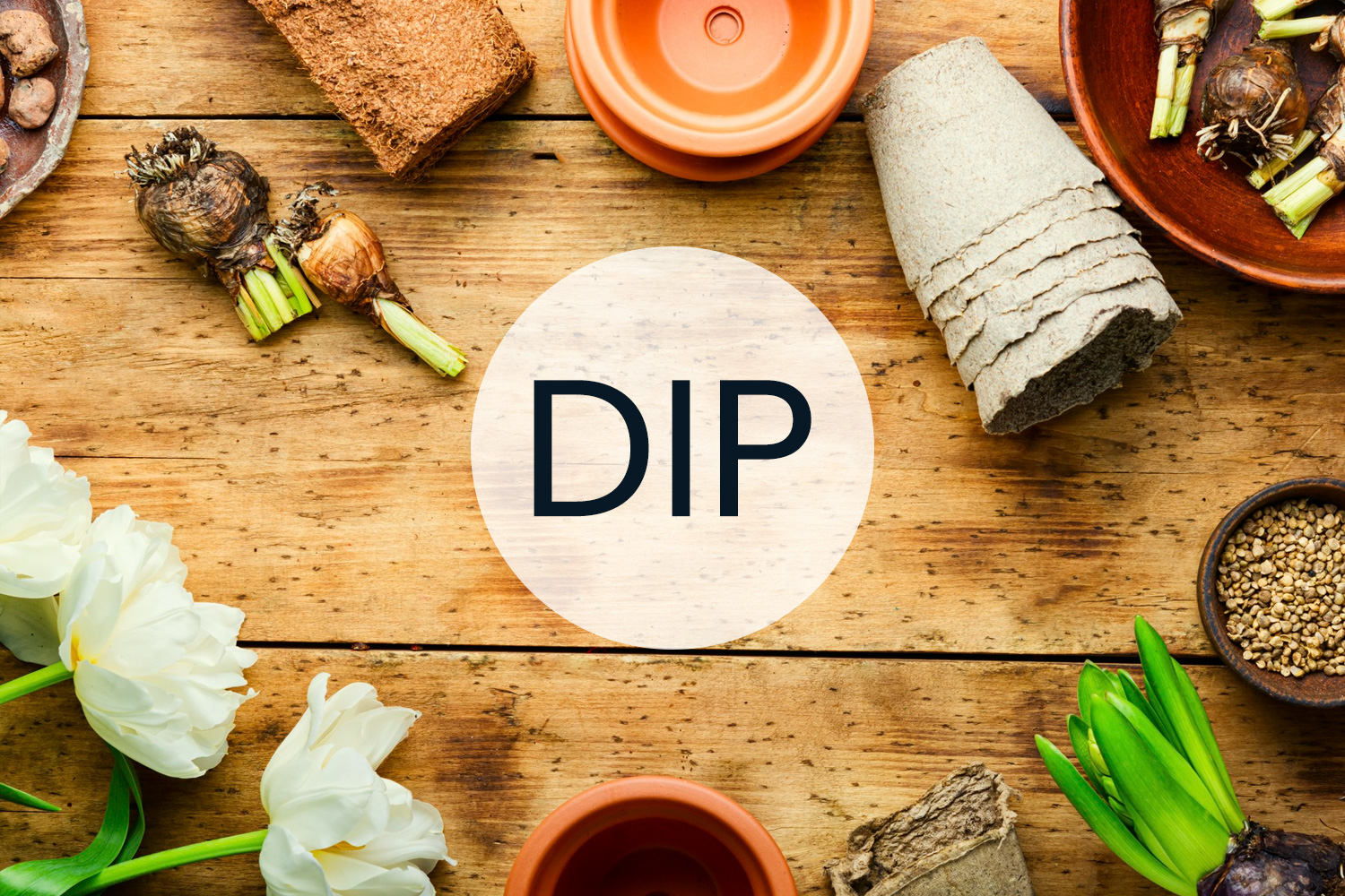 DIP